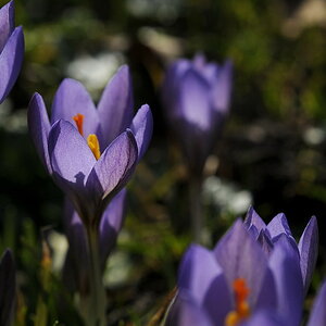 DSC0349aa