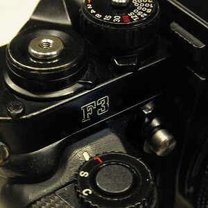 F3 Detail2