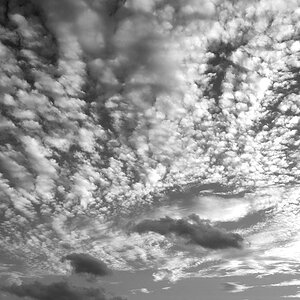 200509270002 - Bäume und Wolken