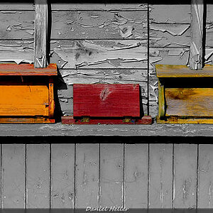 c DSC0074 Kopie