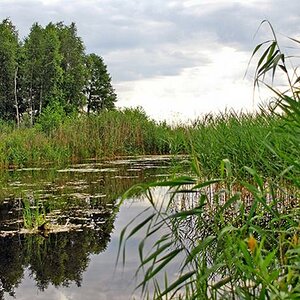 dreaming lake