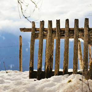 lapidarer Blick 1