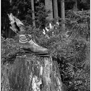 Den Schuh an den Nagel gehängt