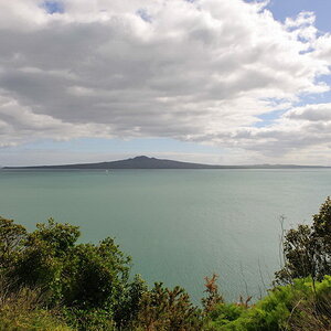 Auckland