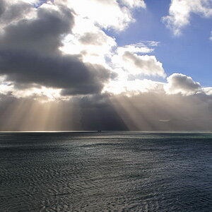 Bucht von Wellington