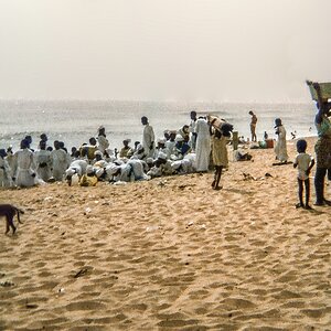 TZ Strand 2