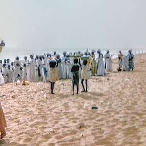 TZ Strand 3