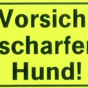 Hund