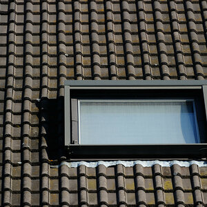 25 2.0 5.6 DSC 0687 01