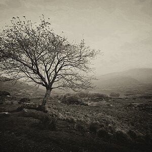 irland DSC 2305
