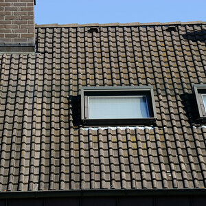 25 1  8 DSC 0699 01