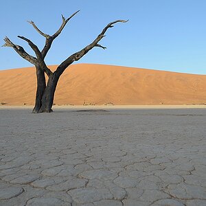 Deadvlei