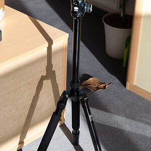 50 mm (3 von 2)