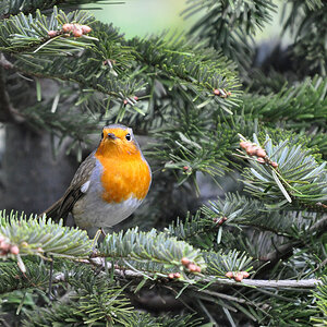 DSC 9348 khg