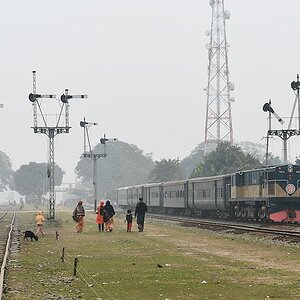 Mechanische Signale in Saidpur
mit 2406
7184
