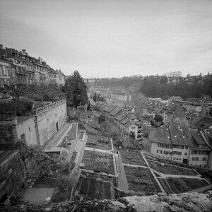 Bern.2....