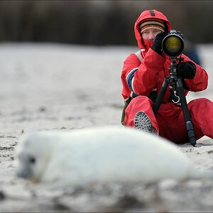 aacomp Helgoland 20130112 3873