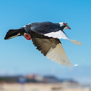 20130326 ND4 1552