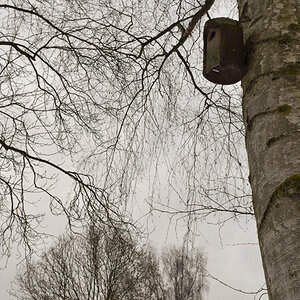 7554bäume vogelhäuschenheller