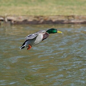 Landeanflug Bild 1