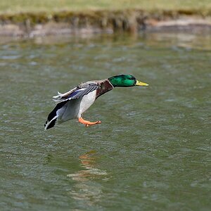 Landeanflug Bild 2