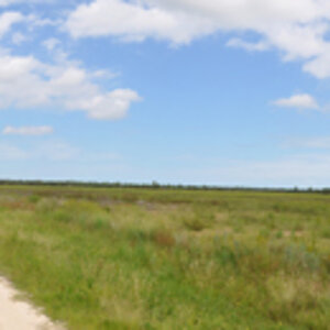 Florida - Everglades 2011
