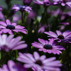 20120405 125634