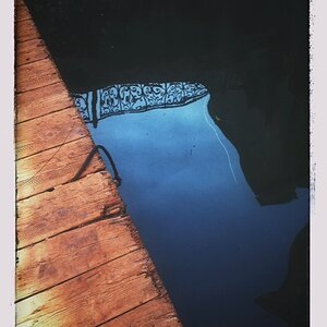 steg