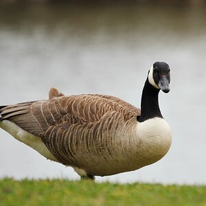2013 04 10 0050 D 3S A
