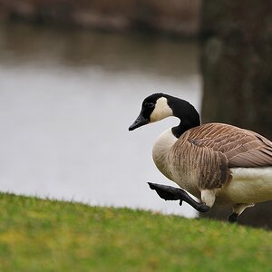 2013 04 10 0066 D 3S A