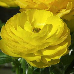Bilder 13 04 13 002 1