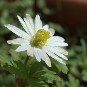 Bilder 13 04 13 003 1