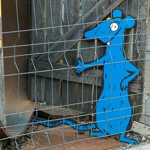 comp ratte