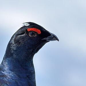 20130222 0288 NX 1000Px