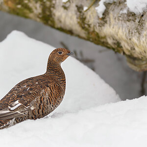 20130223 79 NX1000px