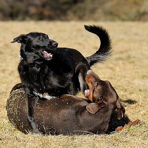 comp DSC 4699 bearbeitet