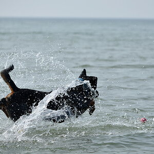 DSC 6684 RottimixKrümel 14 4 13