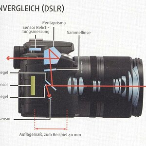 phasenfokus