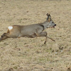aacomp motorcross 20130317 1168