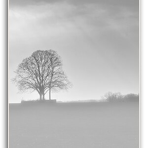 KR DSC 2313 SW N