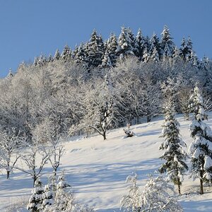 Winterlandschaft