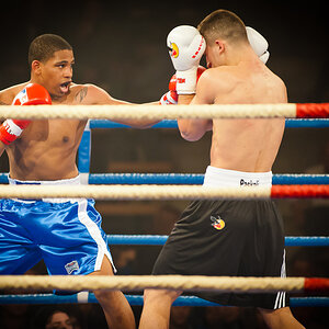 Box-Länderkampf (World Series of Boxing): Duell zwischen den German Eagles und den USA Knockouts. Die deutschen Boxer feierten einen 5:0- Sieg.