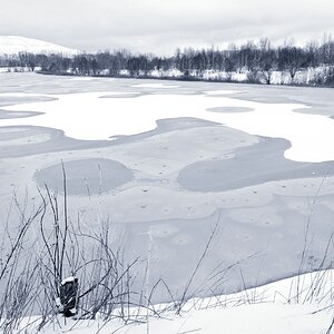 DSD4982c