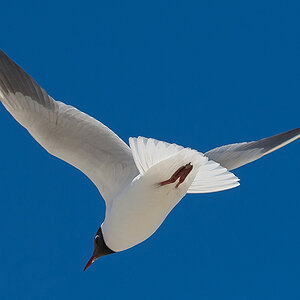 20130326 ND4 1528