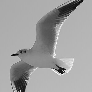 20130326 ND4 1537