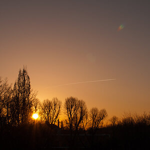 05.03.2013 in Essen - Huttrop