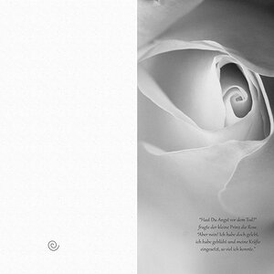 Trauerkarte Rose3