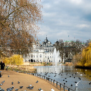 St. James Park
Am "St. James Park Lake".
Sicht Richtung "Horse Guards".