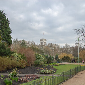 St. James Park
Eingang aus Richtung "Duke of York Memorial".
Sicht Richtung "Foreign & Commonwealth Office".