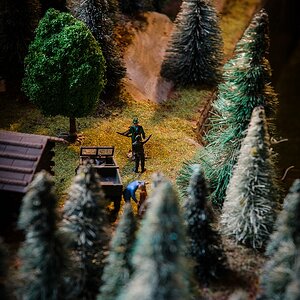 Eisenbahn DSC 6121